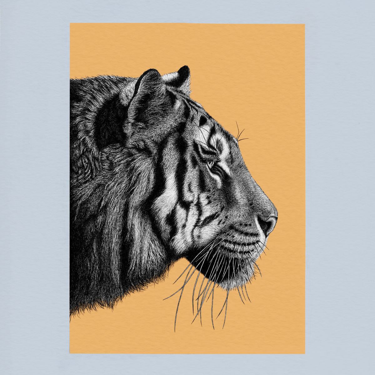 Tiger art print
