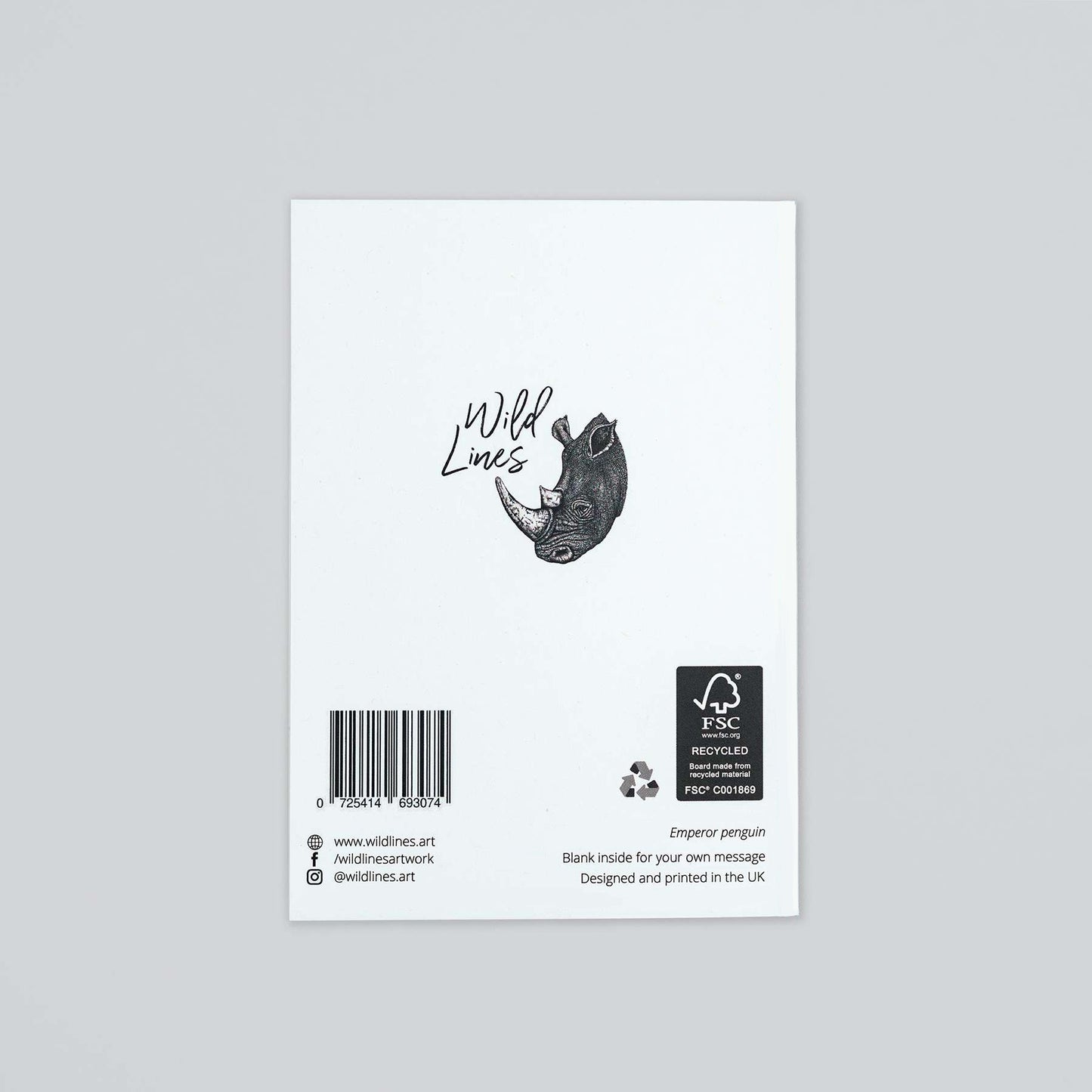 African lion note card
