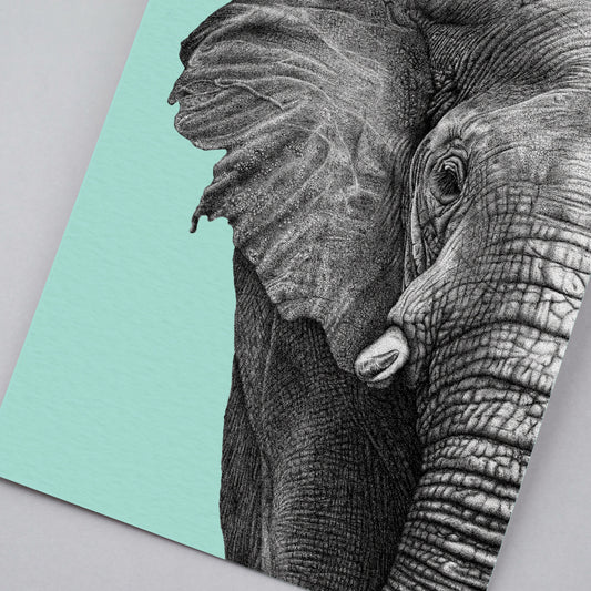 African elephant art print