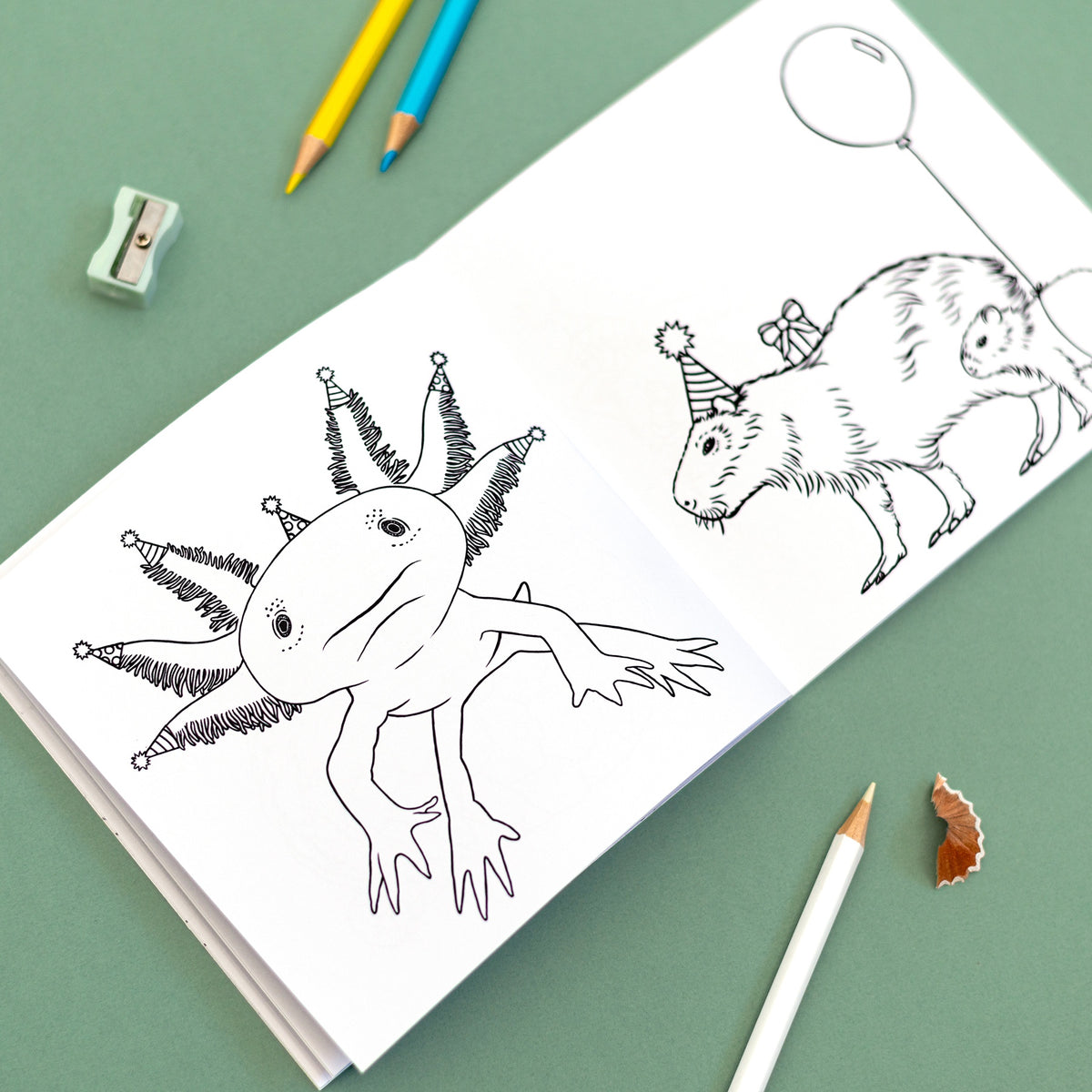 Party Animals Colouring Book