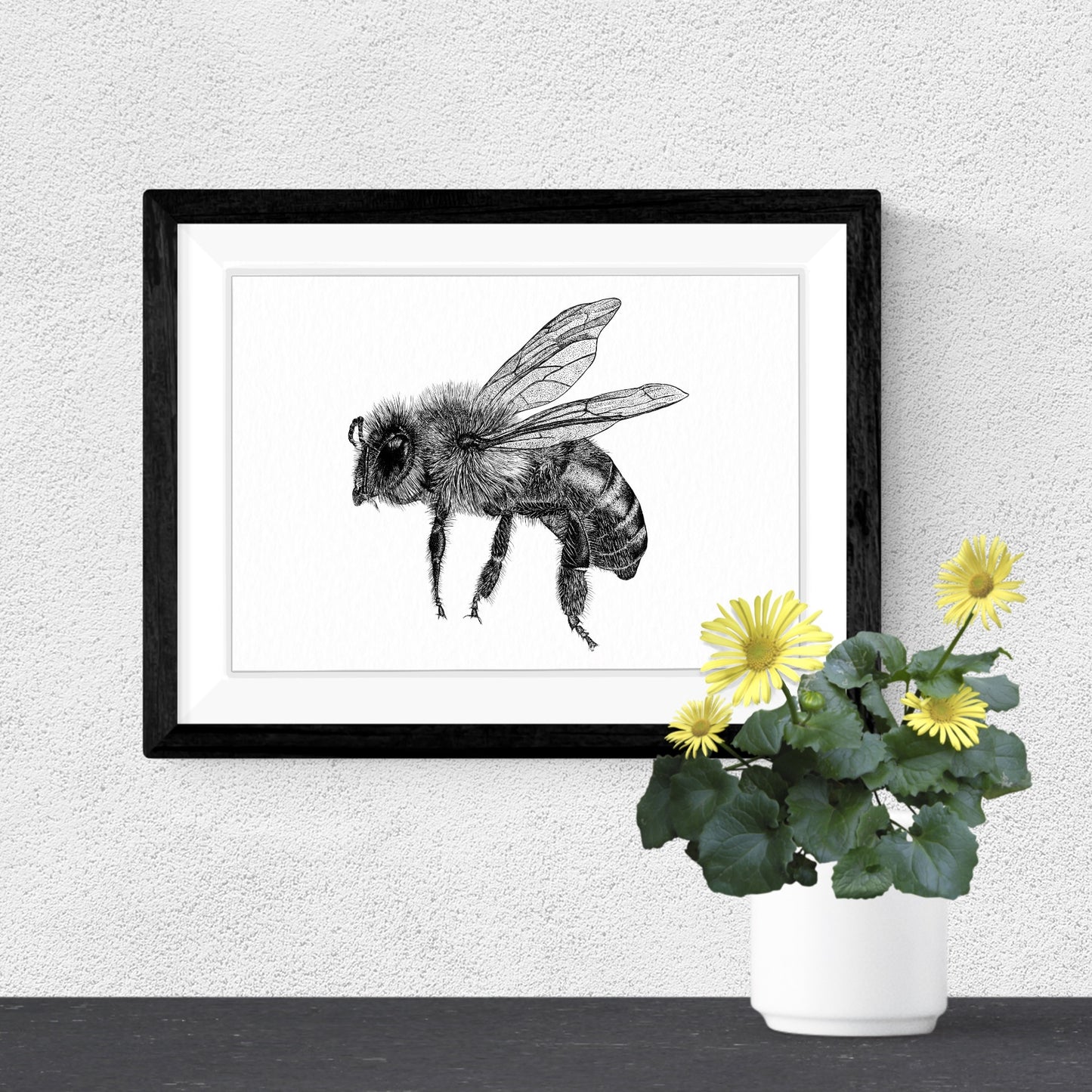 Honey Bee Art Print - White