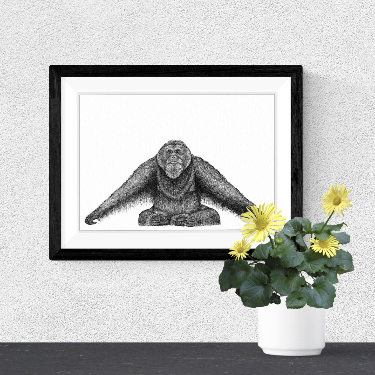 Sumatran Orangutan Art Print - White