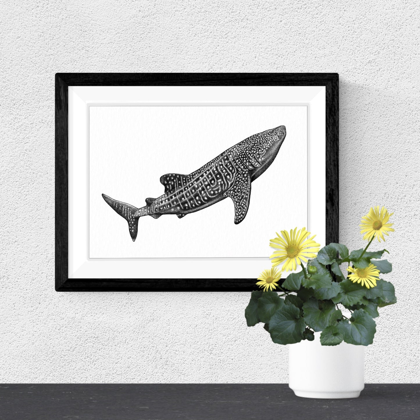 Whale Shark Art Print - White