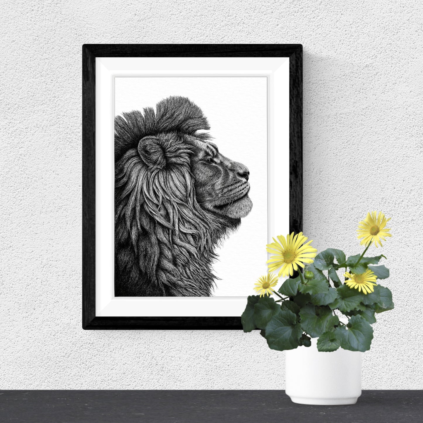 African Lion Art Print - White