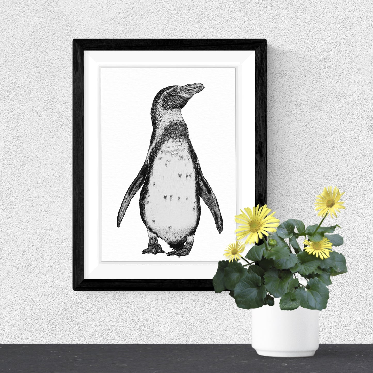 Humboldt Penguin Art Print - White