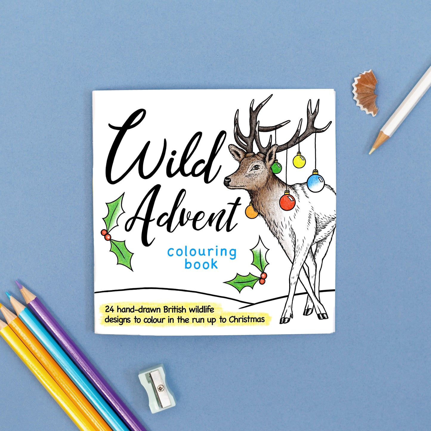 Wild Advent Colouring Book - British Wildlife Edition