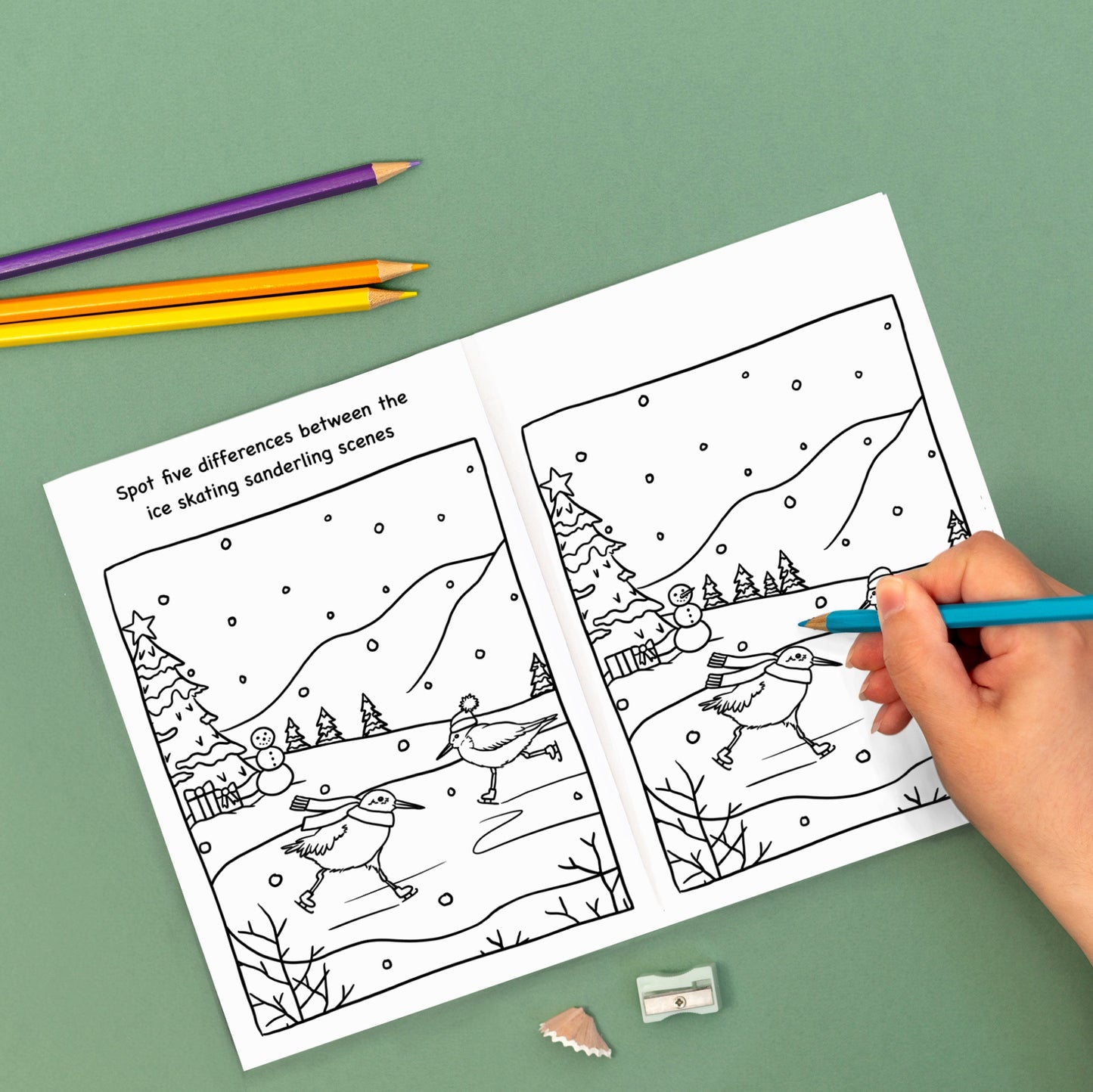 Wild Christmas Activity Book