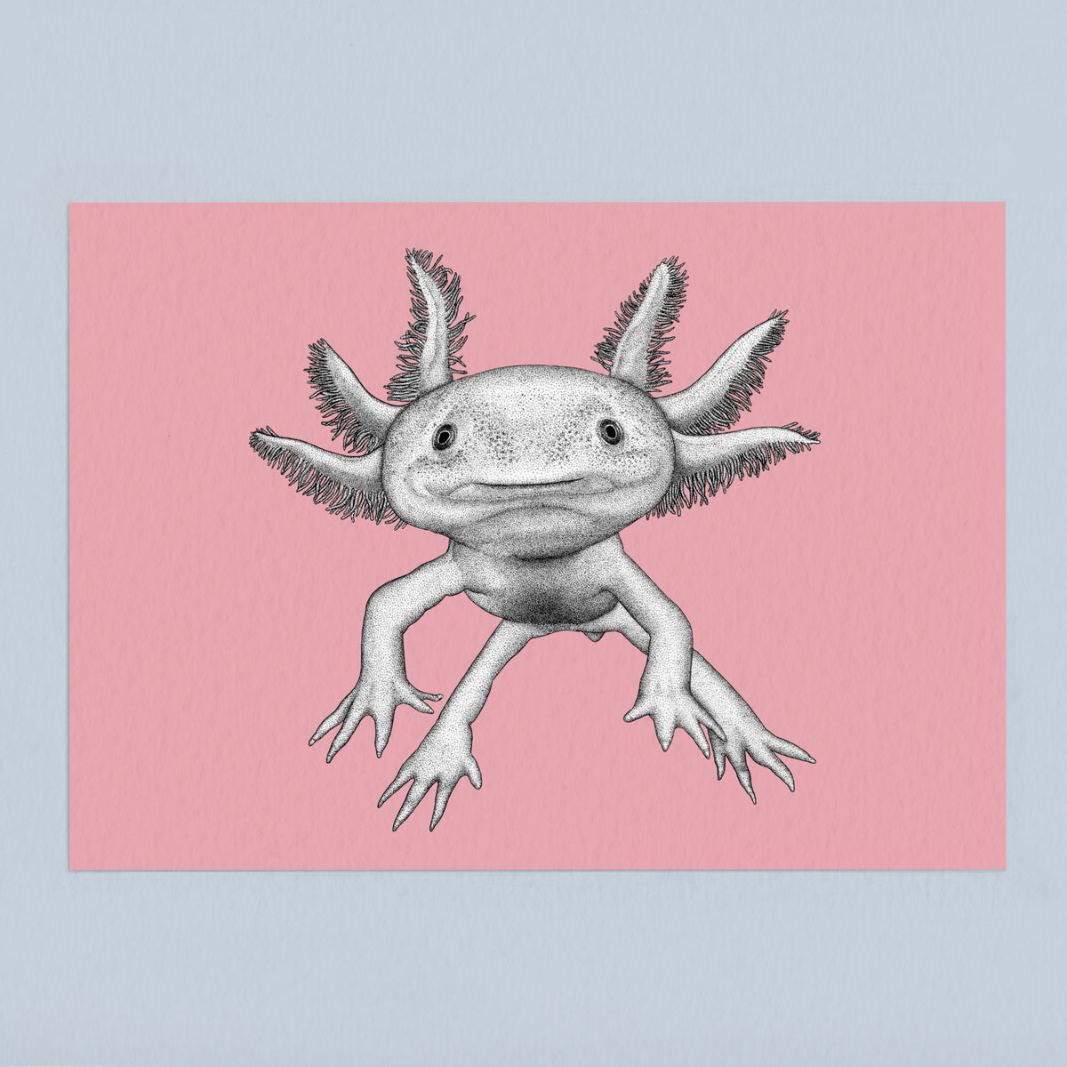 Axolotl art print