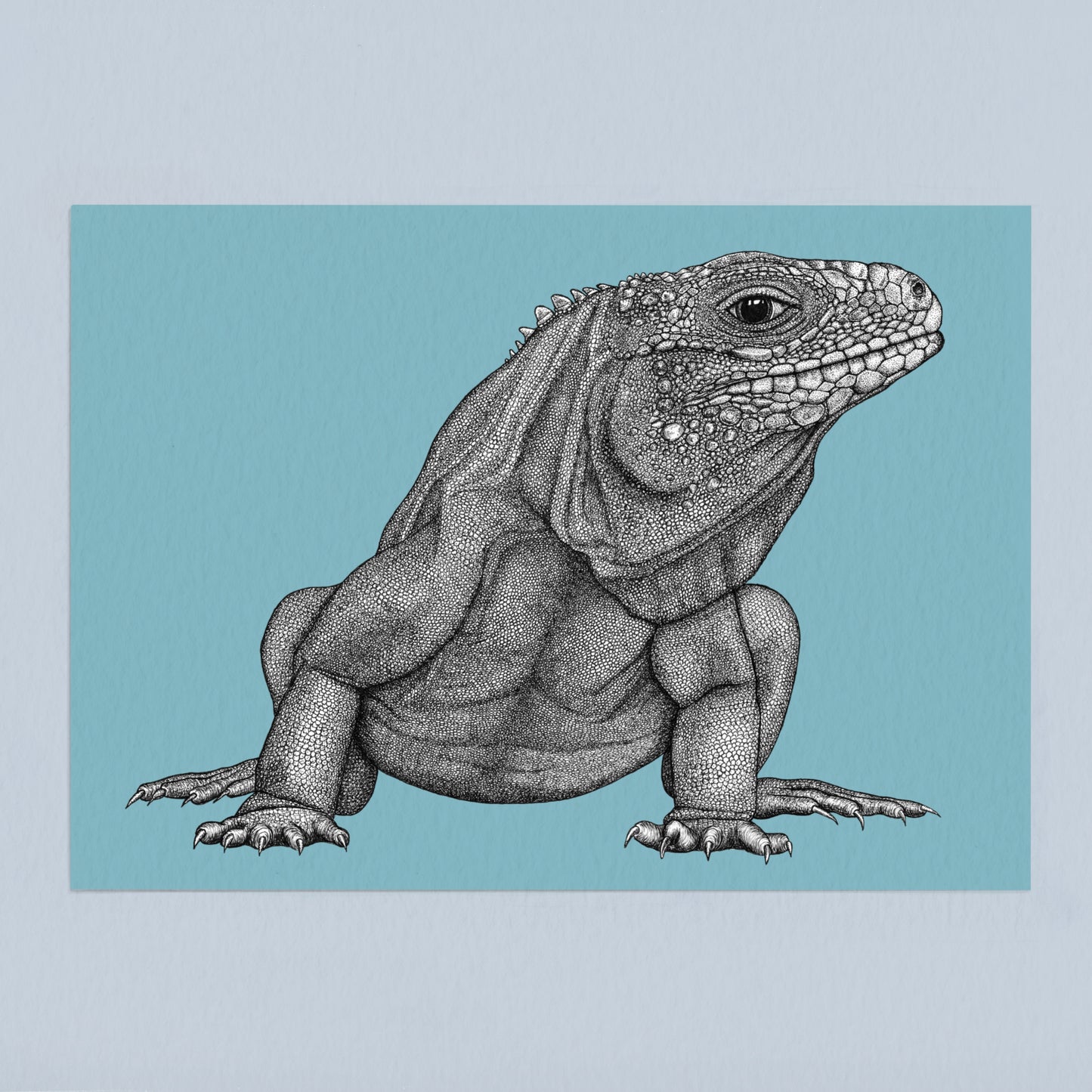 Cayman blue iguana art print