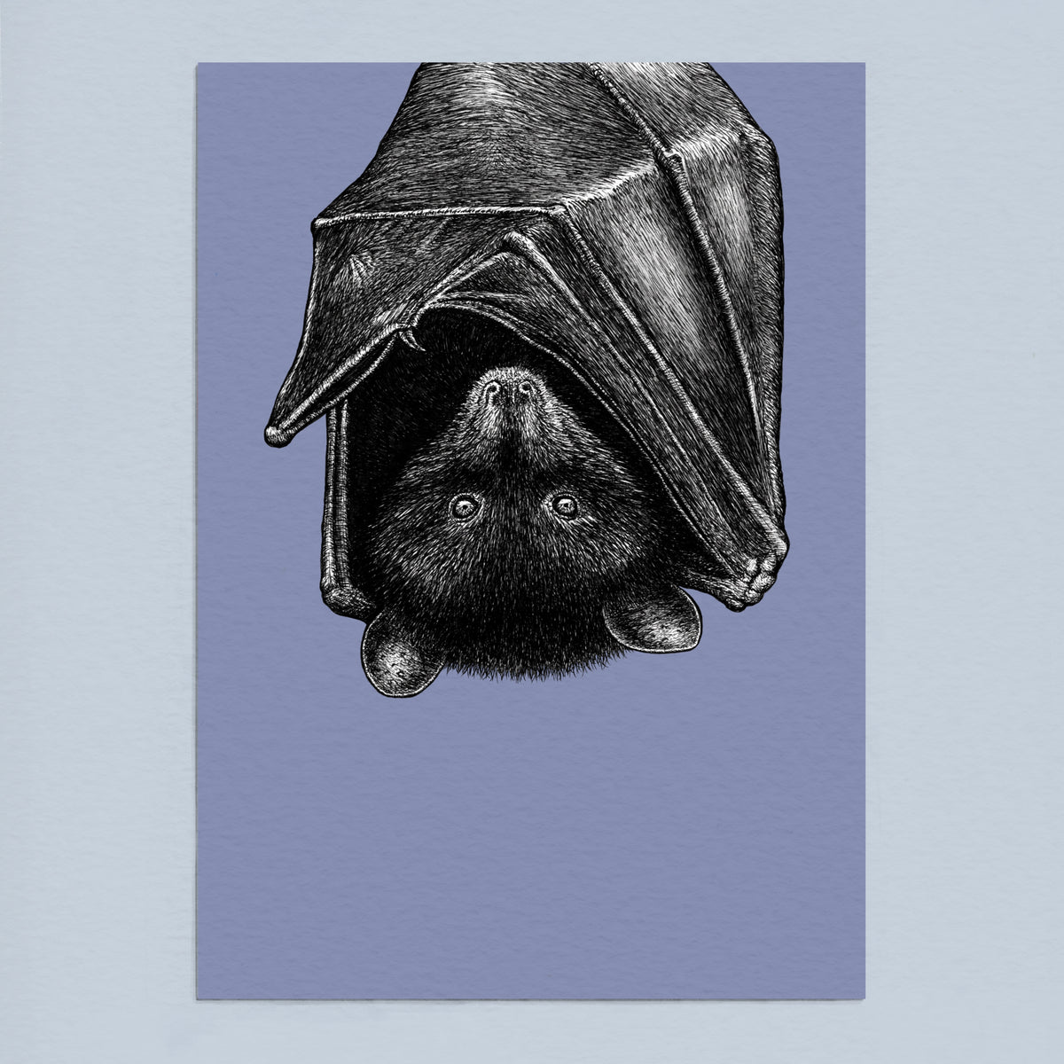 Livingstone's fruit bat art print