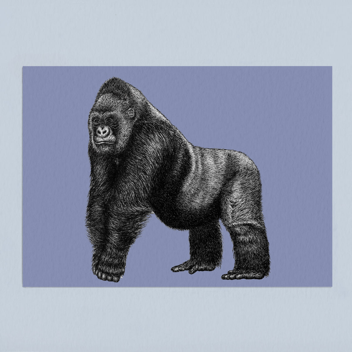 Silverback gorilla art print