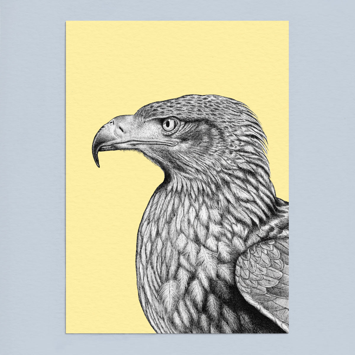 Steppe eagle art print