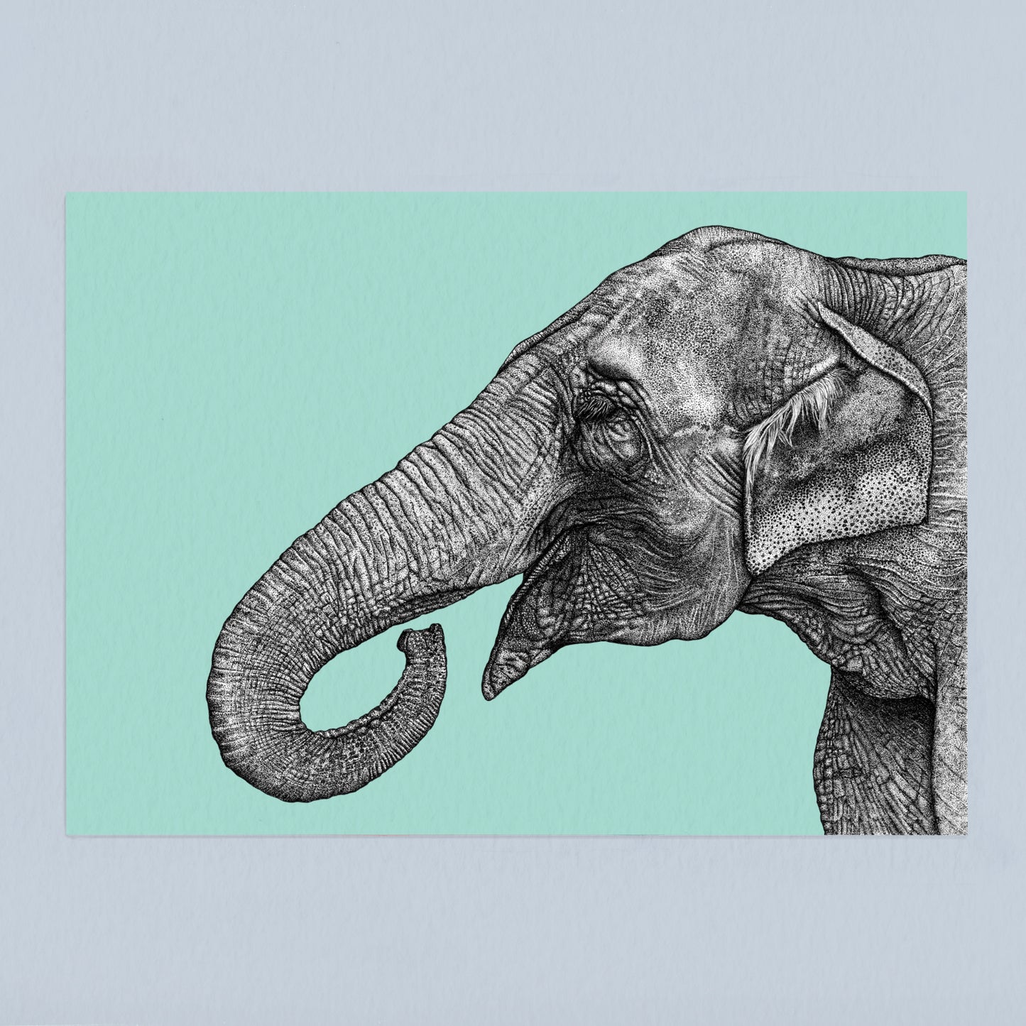 Asian elephant art print