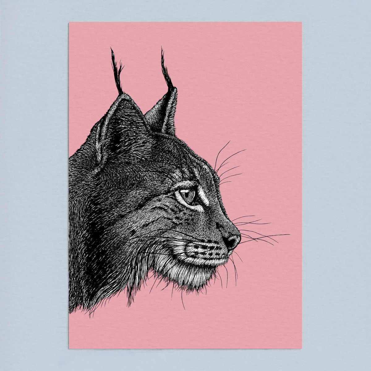 Lynx art print