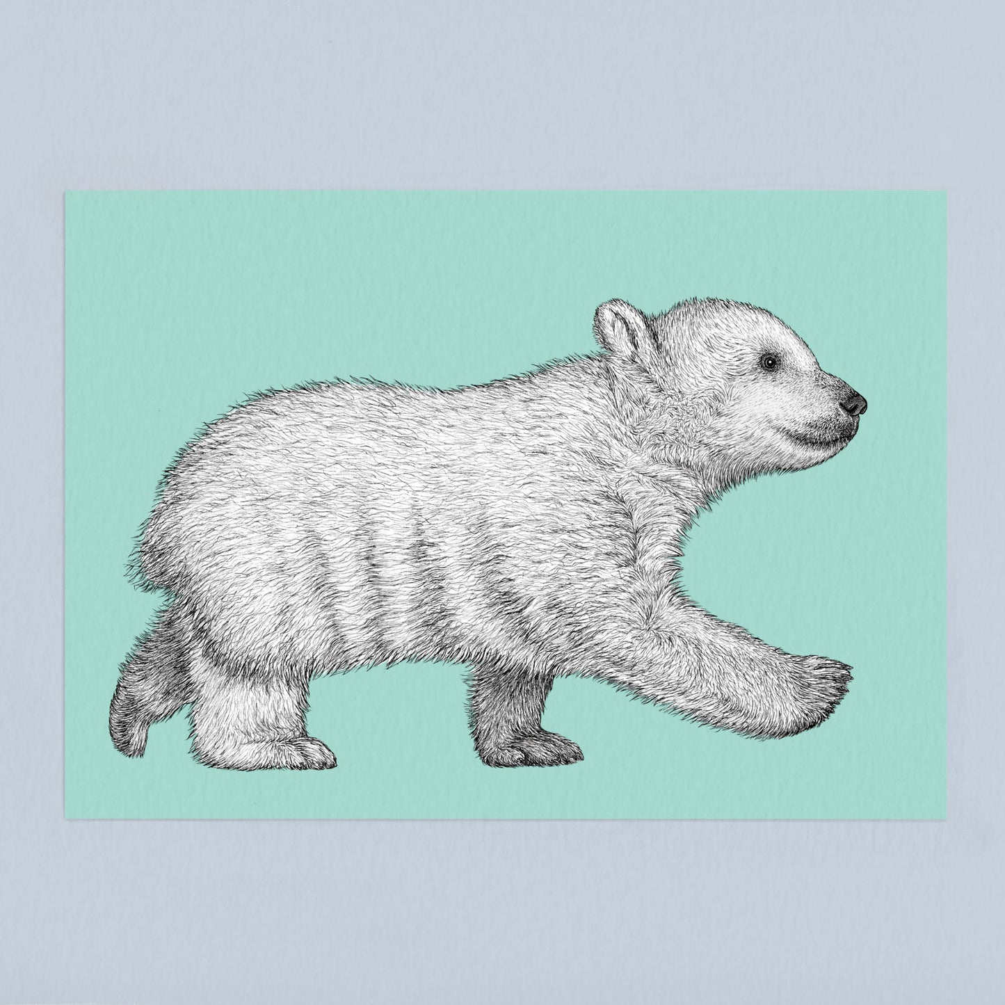Polar bear cub art print