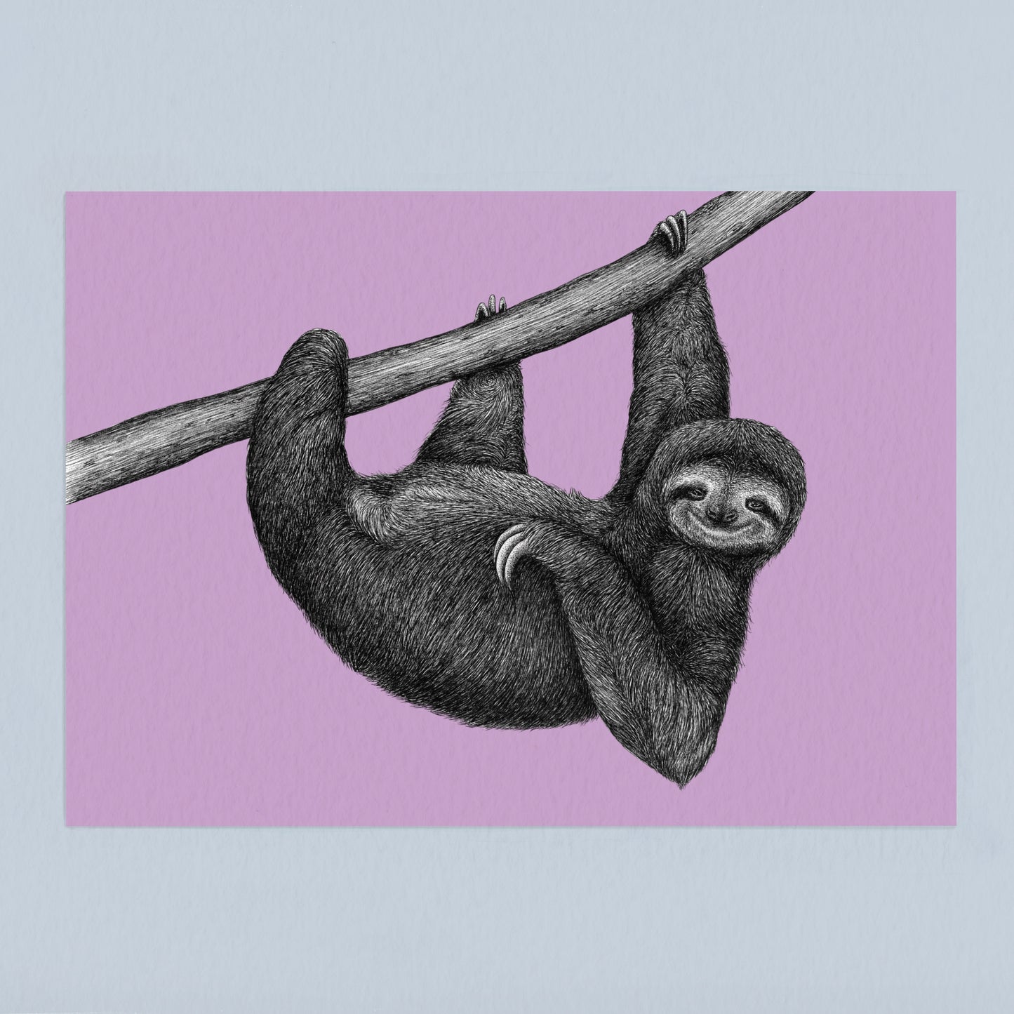 Sloth art print