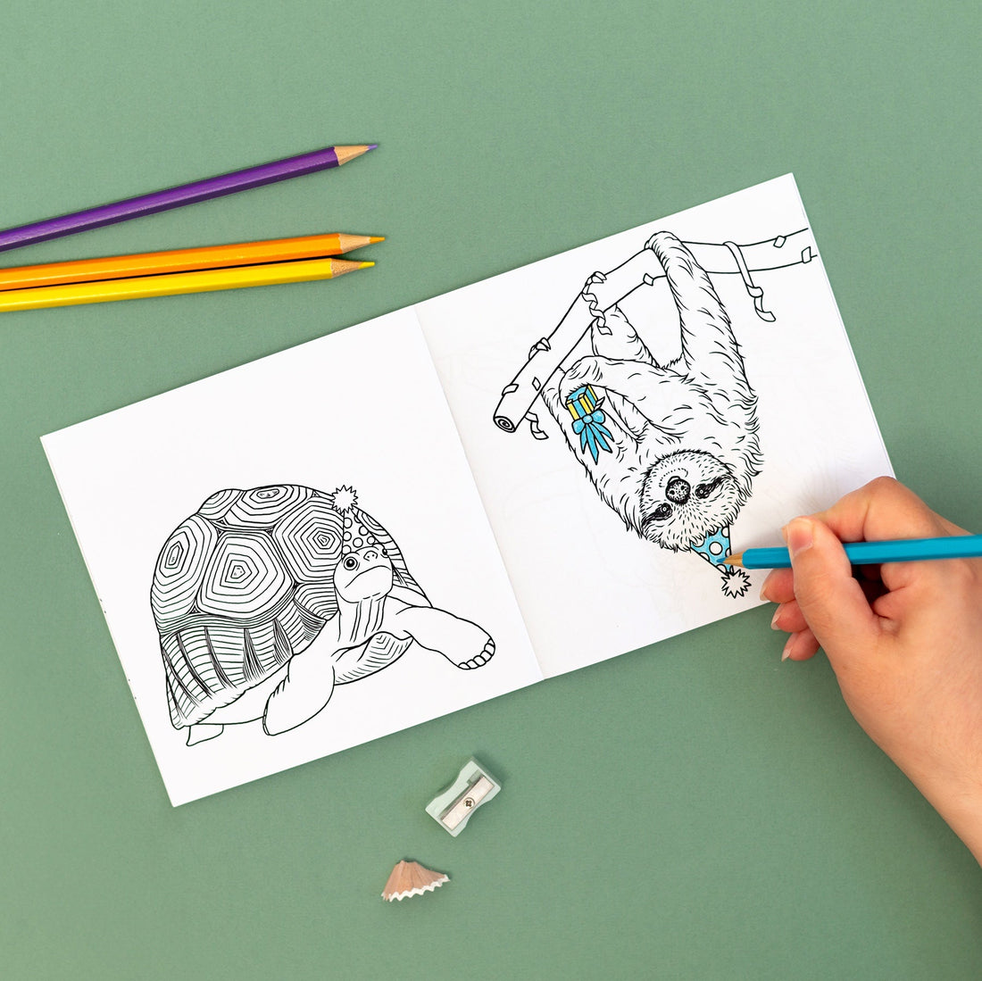 The Joy of Animal Colouring Books: Why We’re Never Too Old to Colour