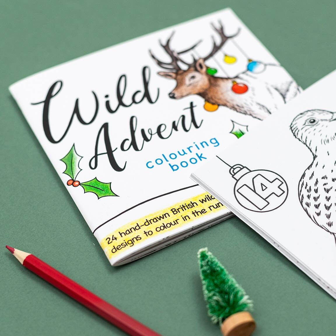 Wild Advent Colouring Book - British Wildlife Edition