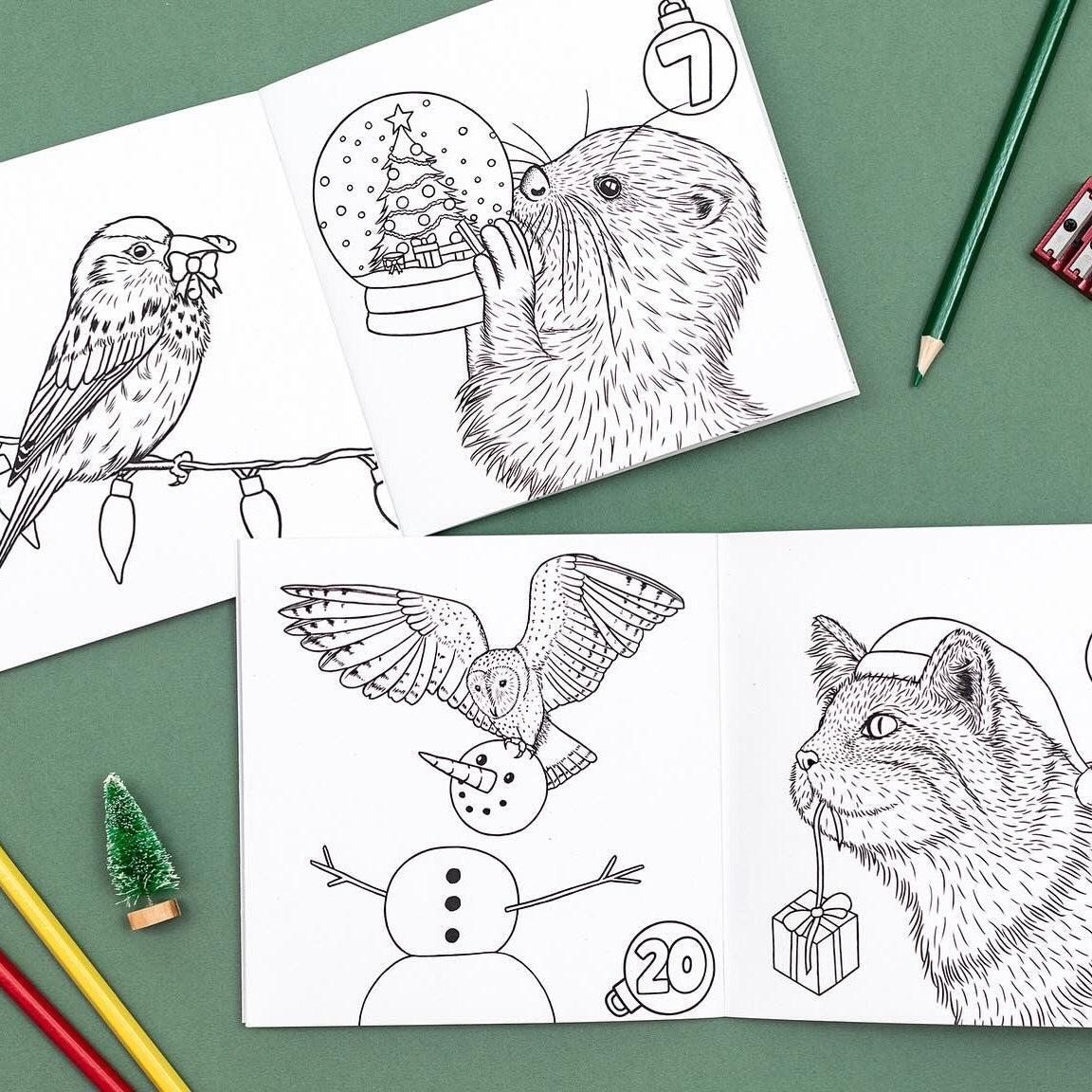 Wild Advent Colouring Book - British Wildlife Edition