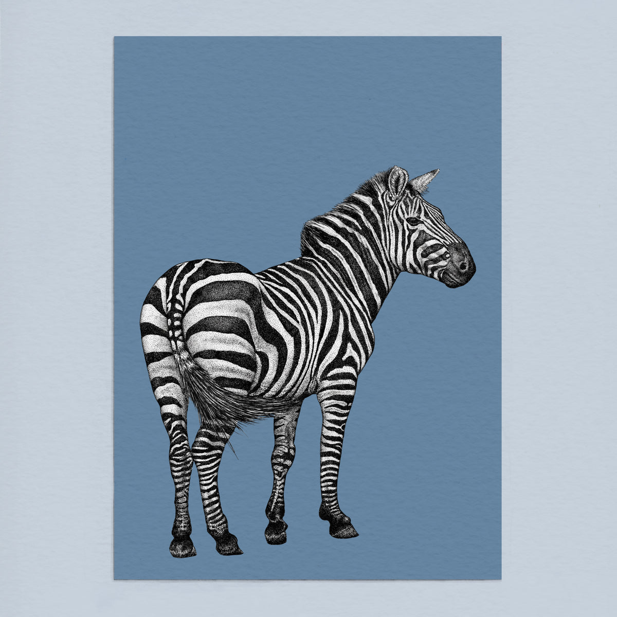 Zebra art print