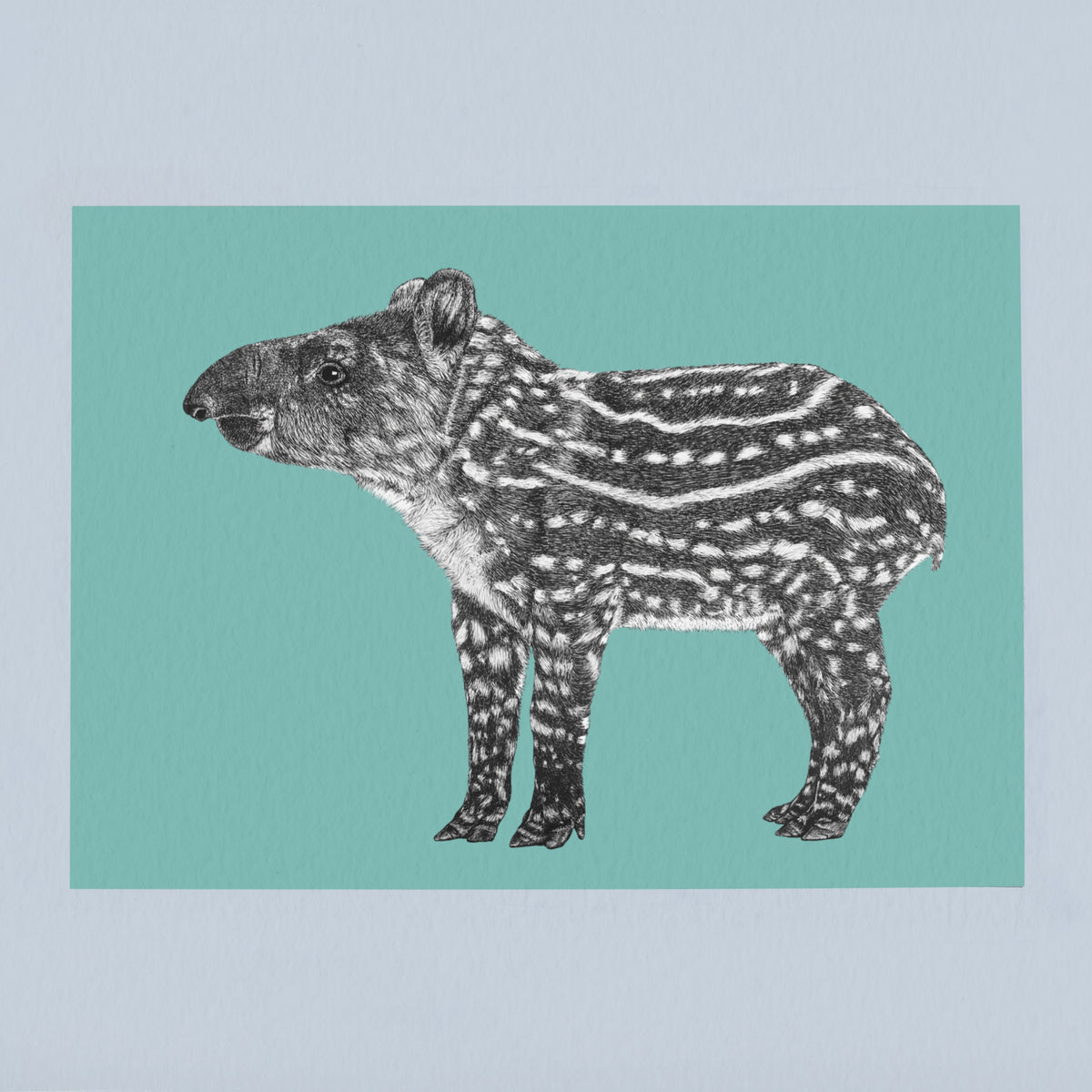 Brazilian tapir art print