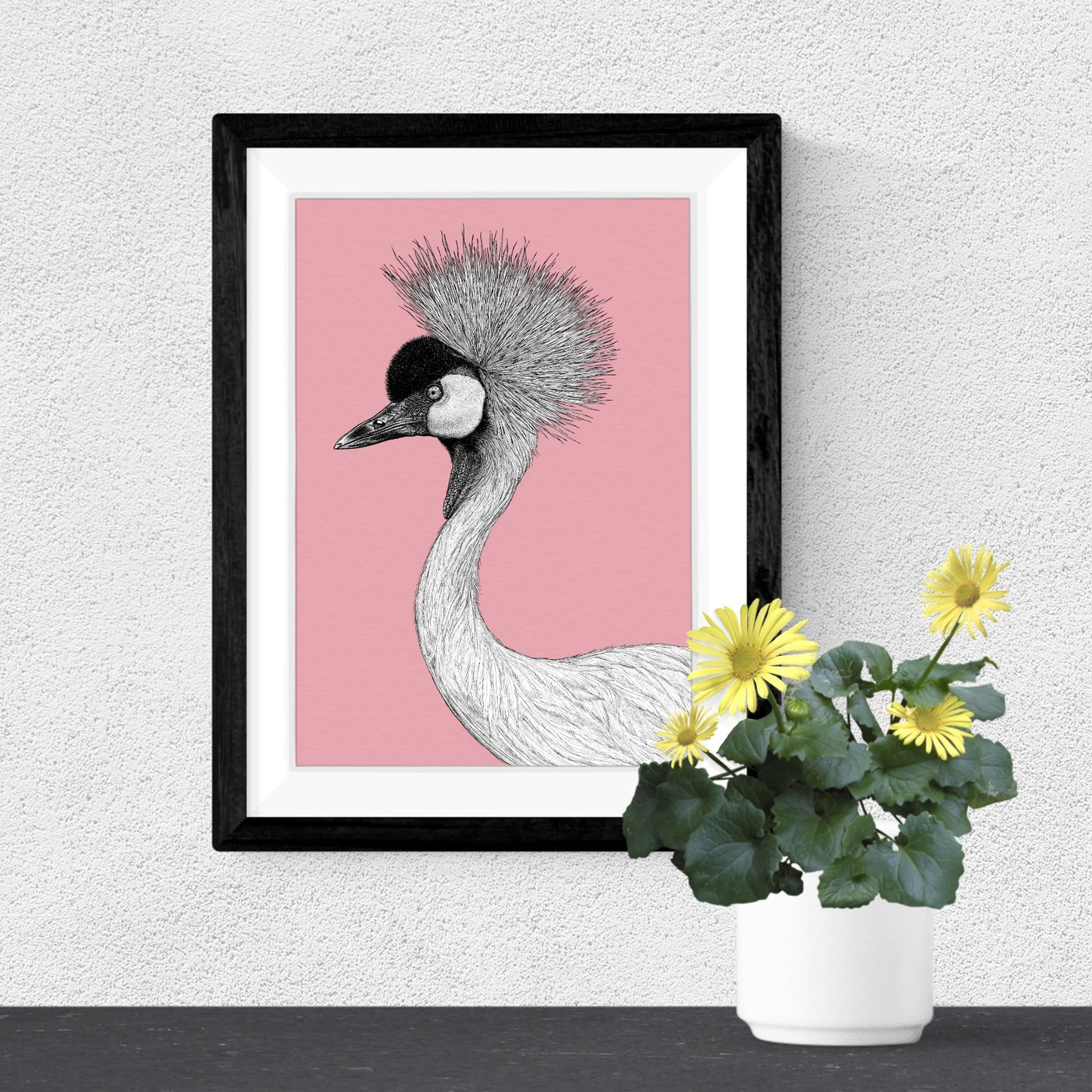 Grey crowned crane art print