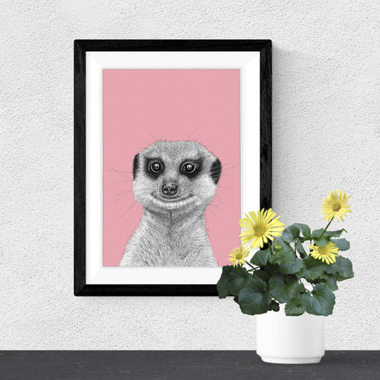 Meerkat art print