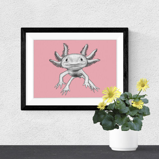 Axolotl art print