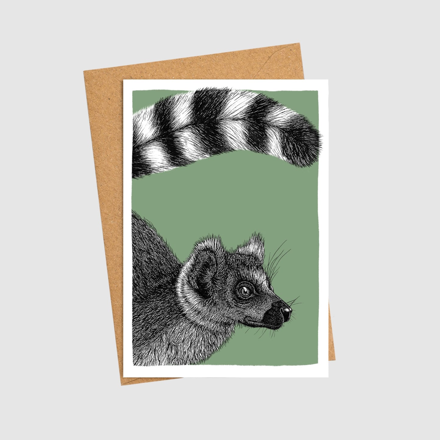 Box of 10 note cards