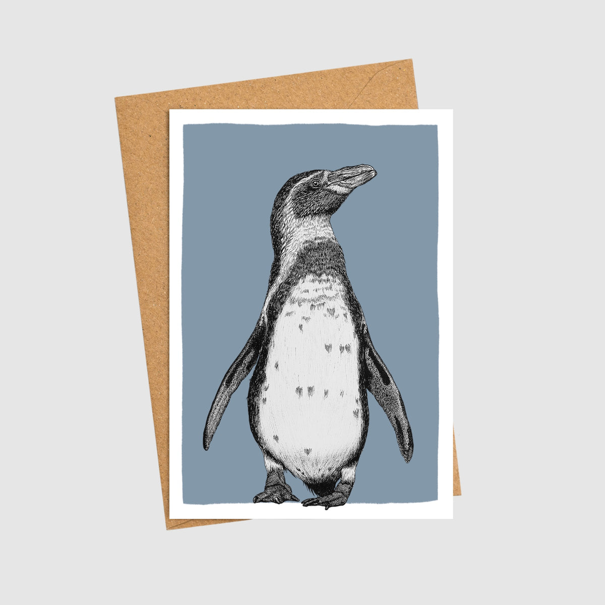 Humboldt penguin note card