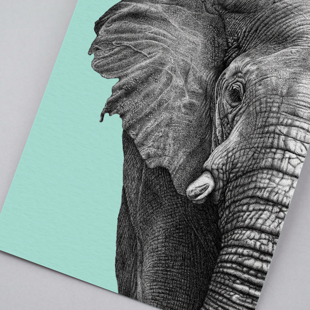 African elephant art print
