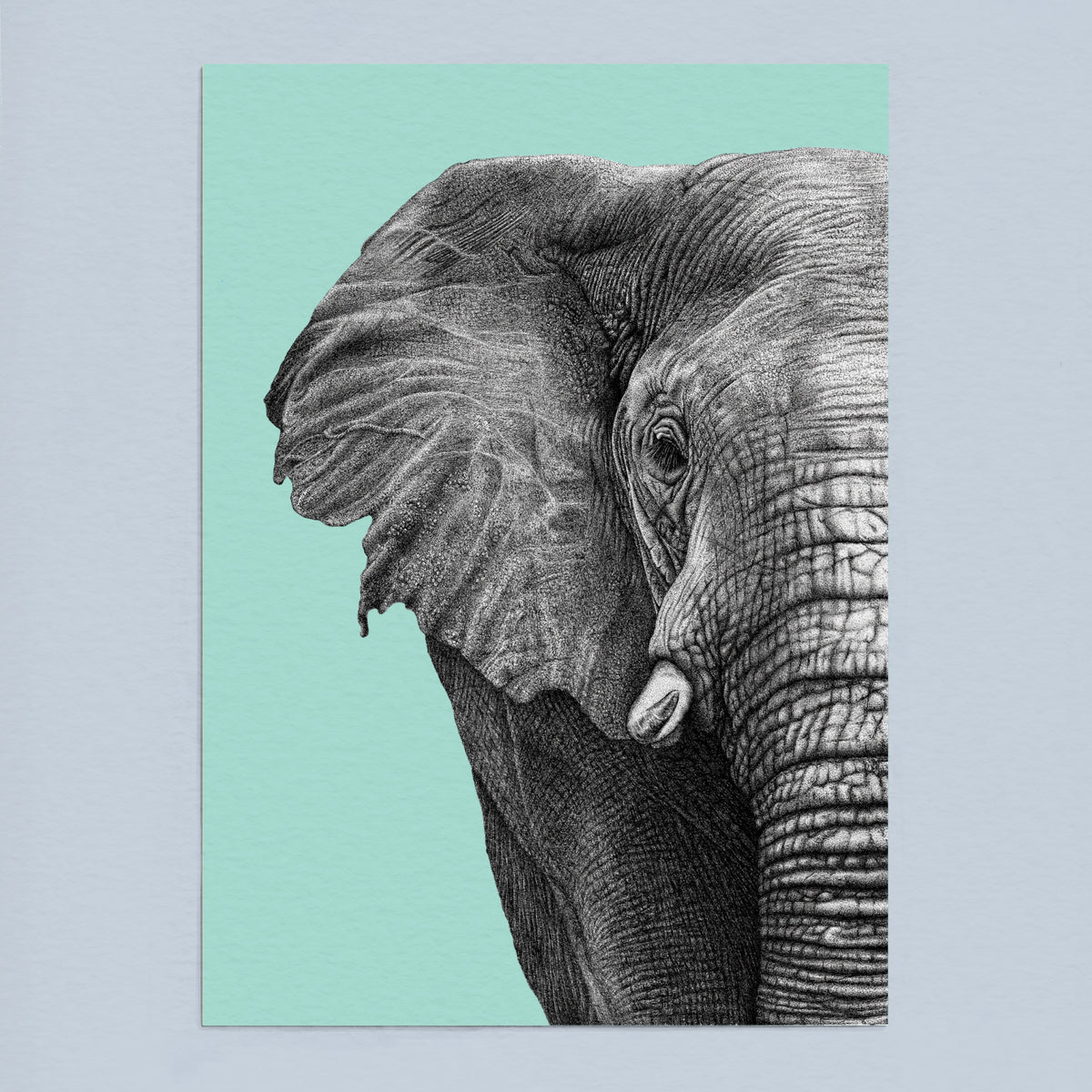 African elephant art print