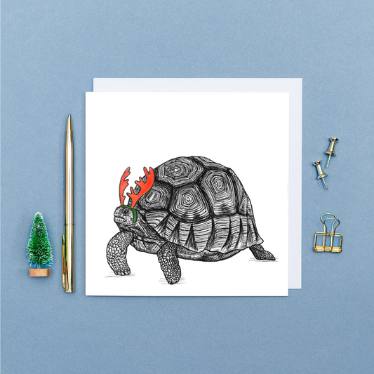 Christmas tortoise card