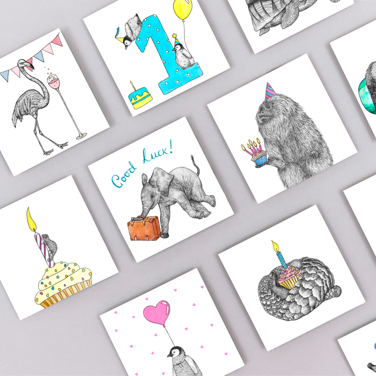 Pangolin Birthday card