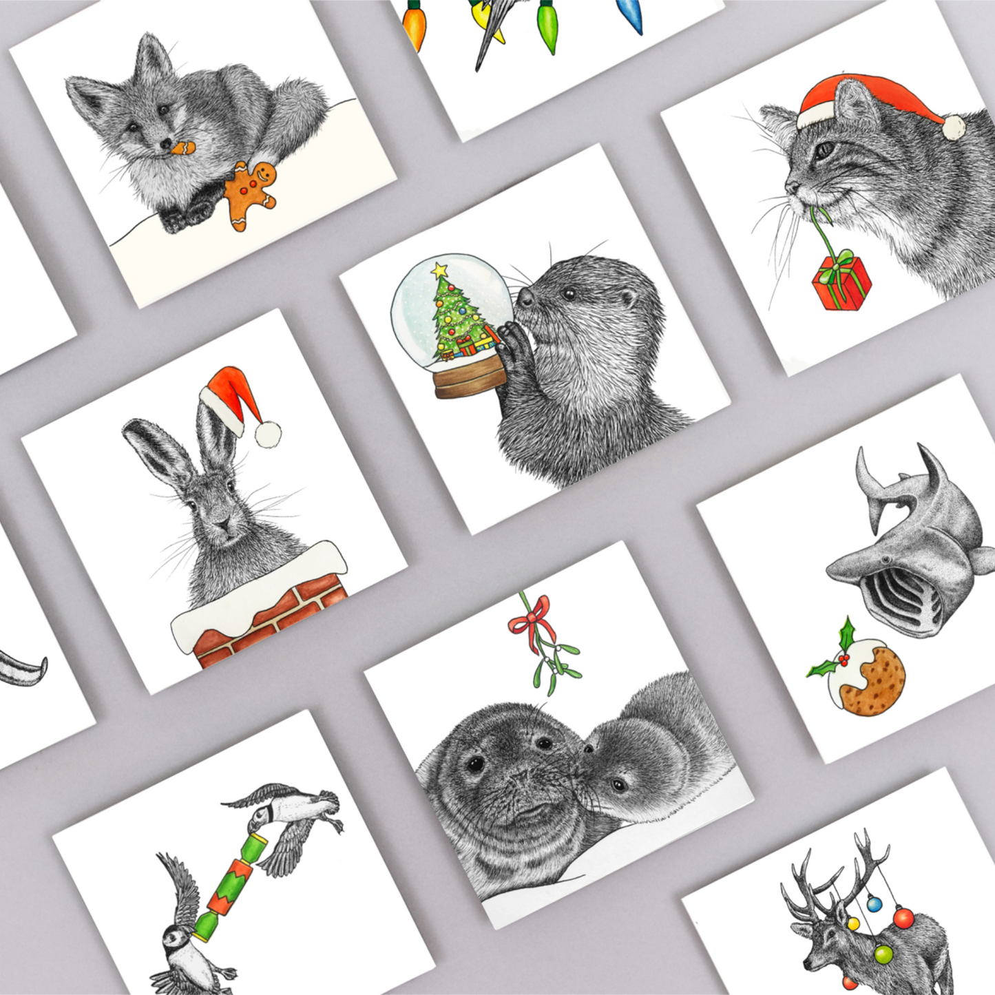 Scottish wildcat Christmas card