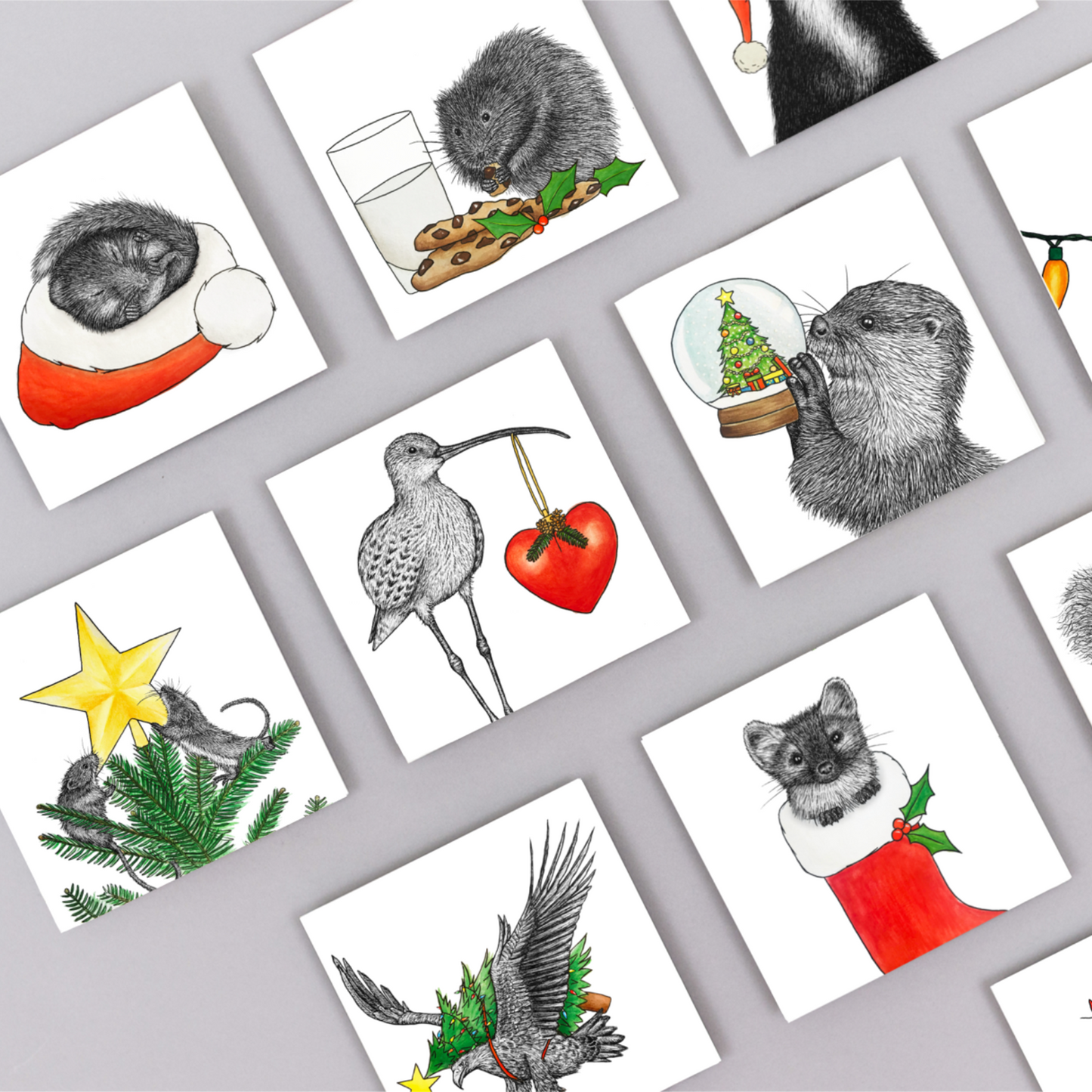 White-tailed eagle Christmas card