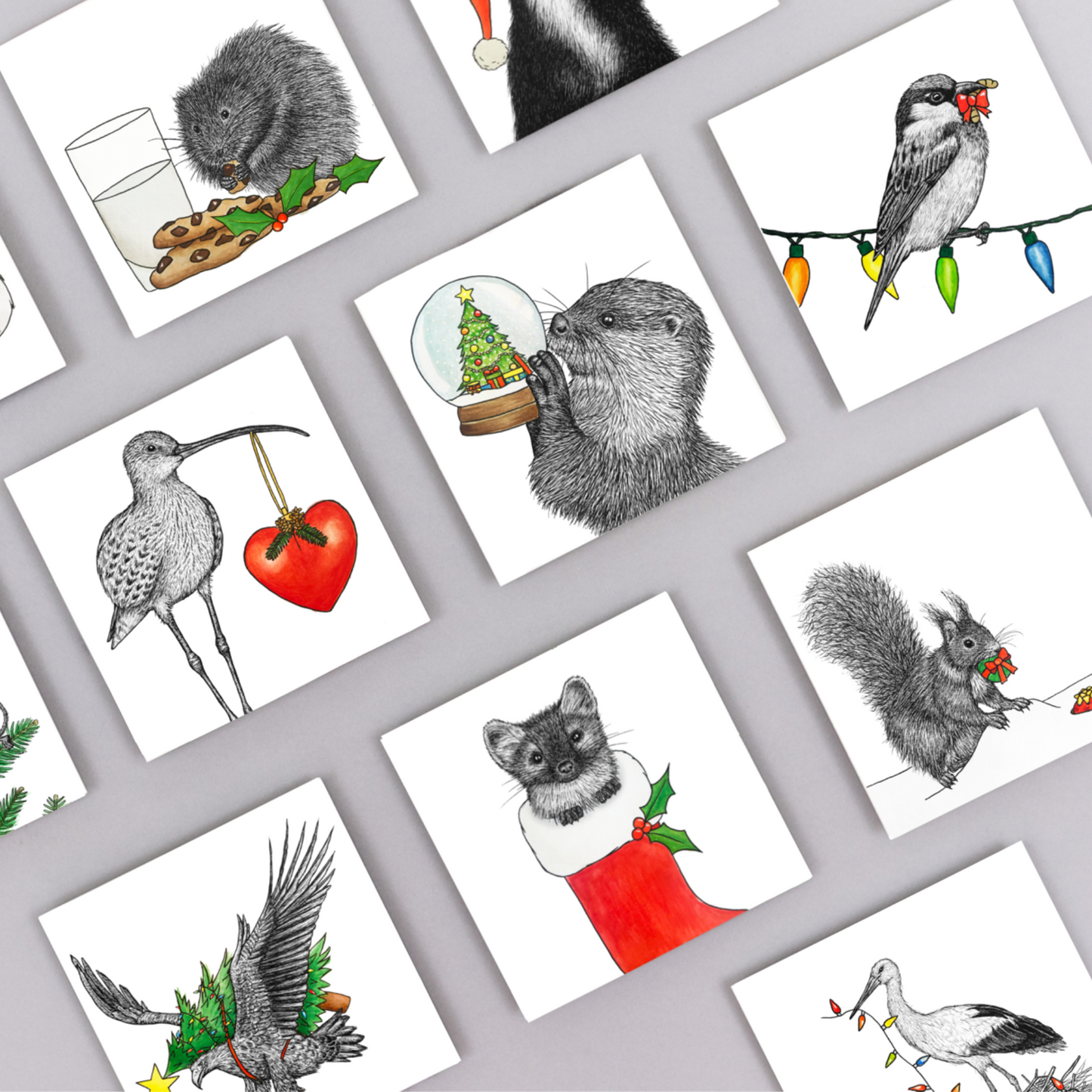 Curlew Christmas card