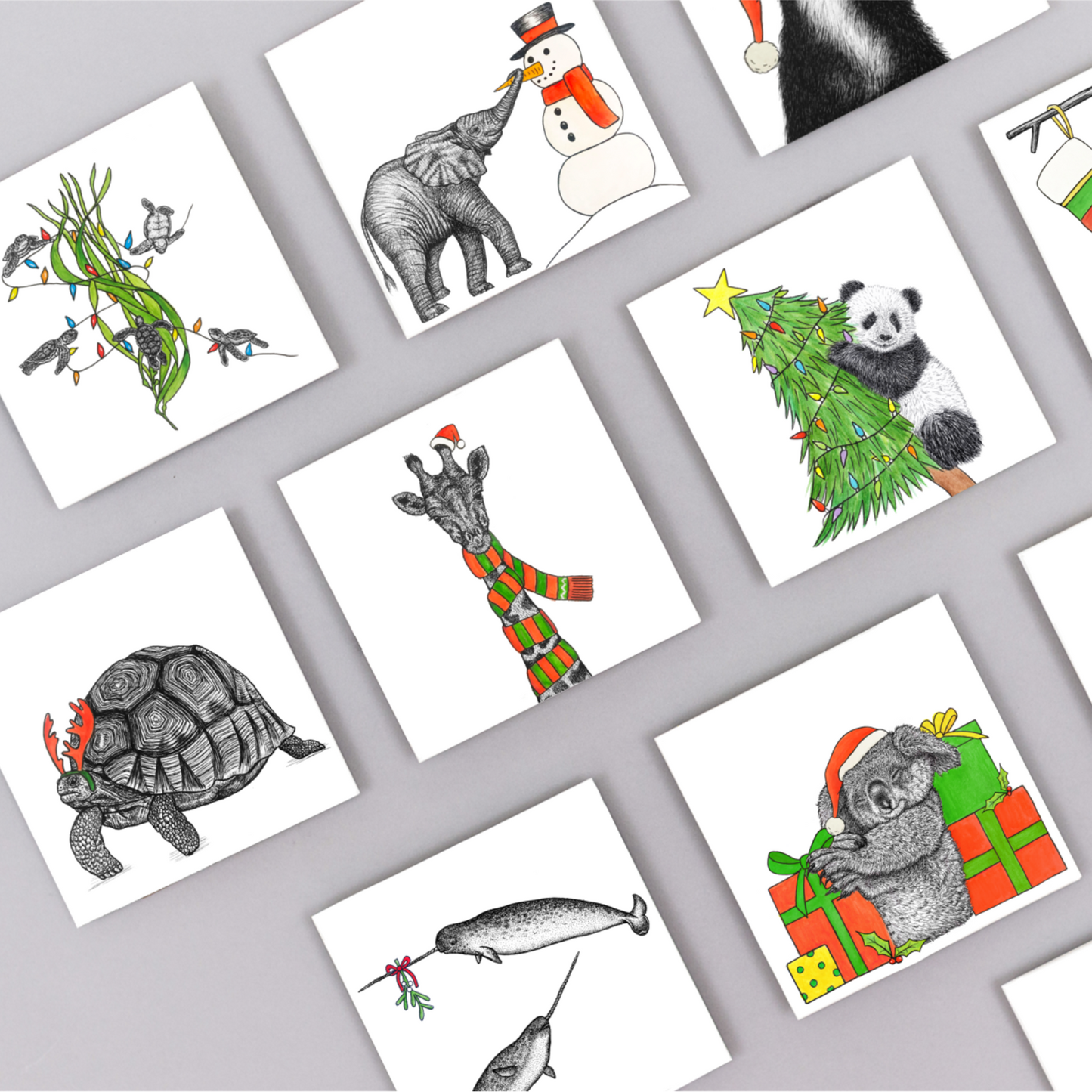 Christmas tortoise card