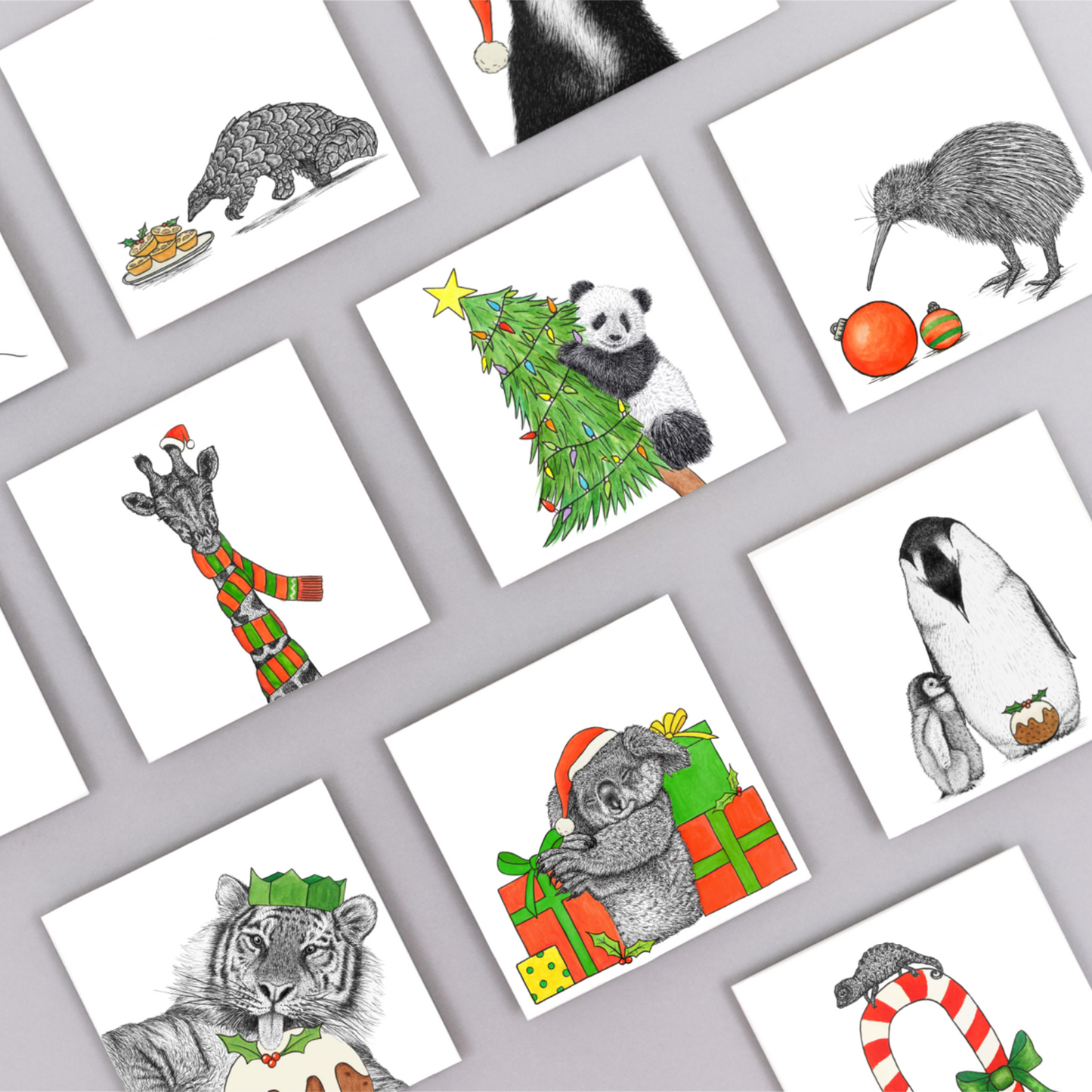 Kiwi Christmas card