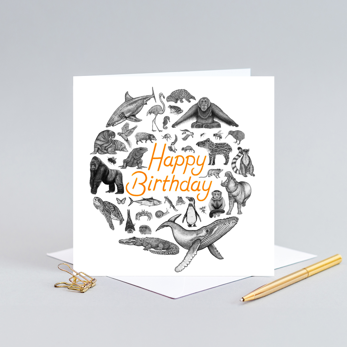 Animal kingdom Birthday card