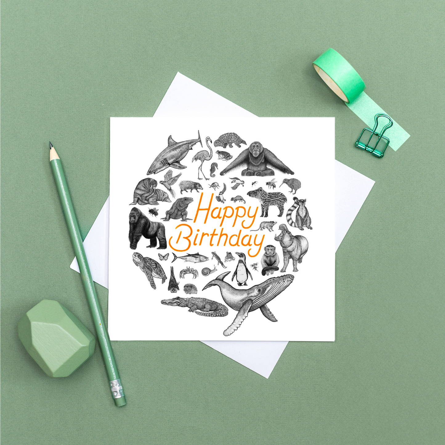 Animal kingdom Birthday card
