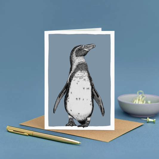 Humboldt penguin note card