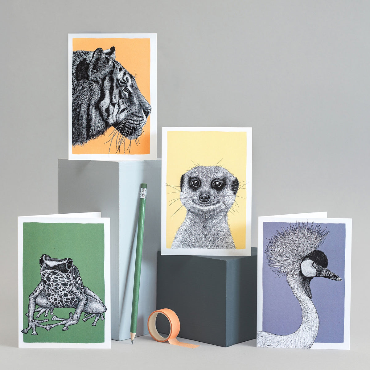 Box of 10 note cards