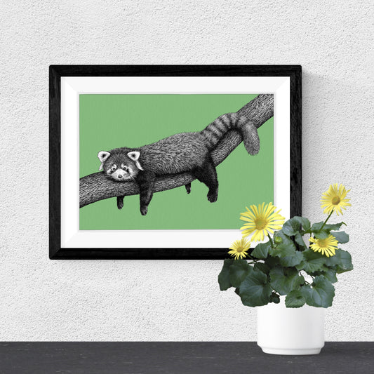 Red panda art print