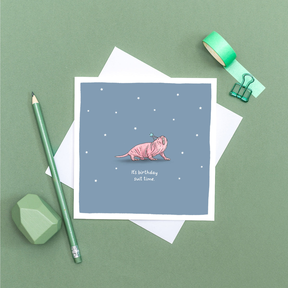It's Birthday Suit Time. Birthday Card