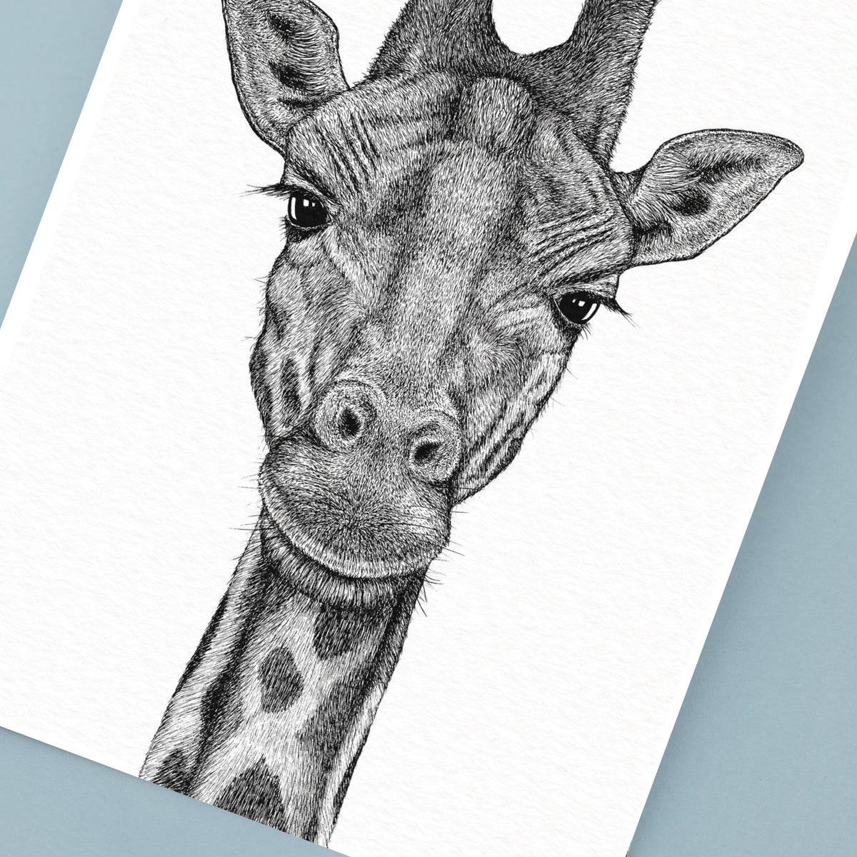 Giraffe Art Print - White
