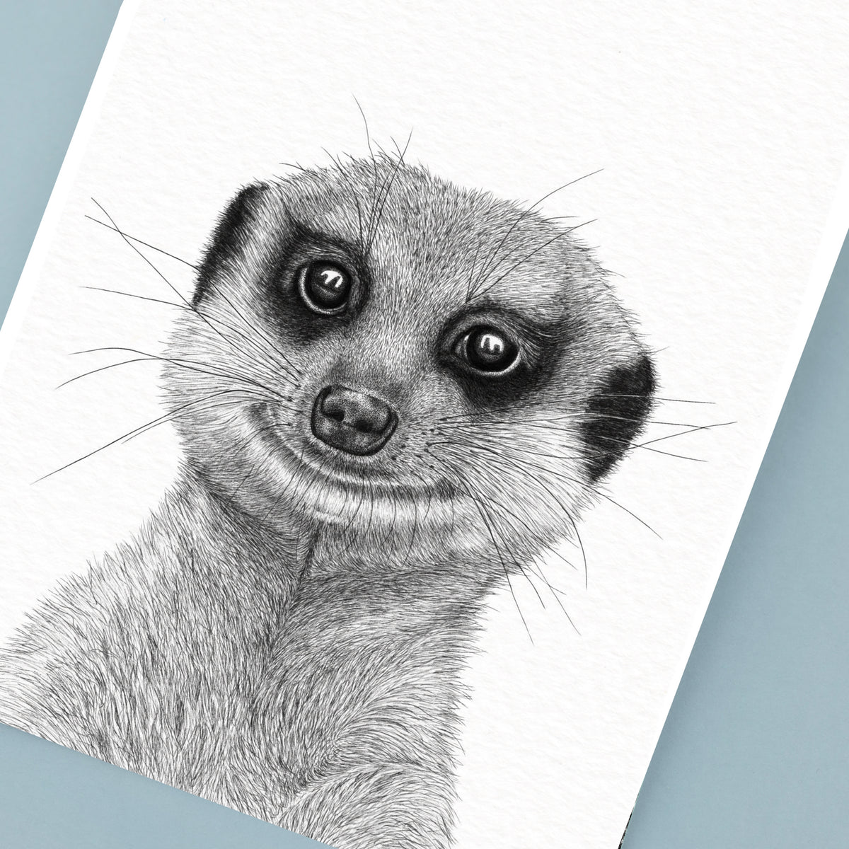 Meerkat Art Print - White