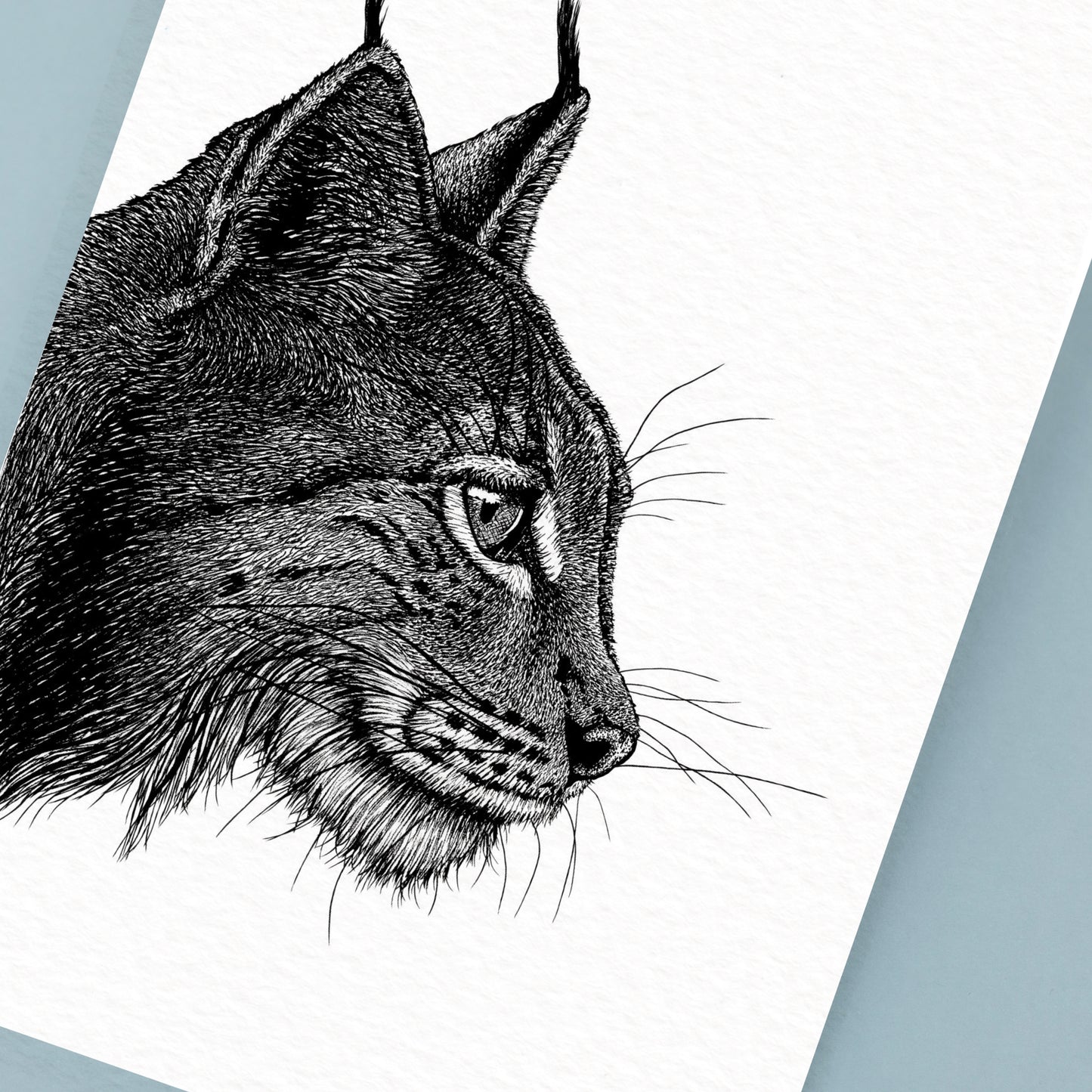 Lynx Art Print - White
