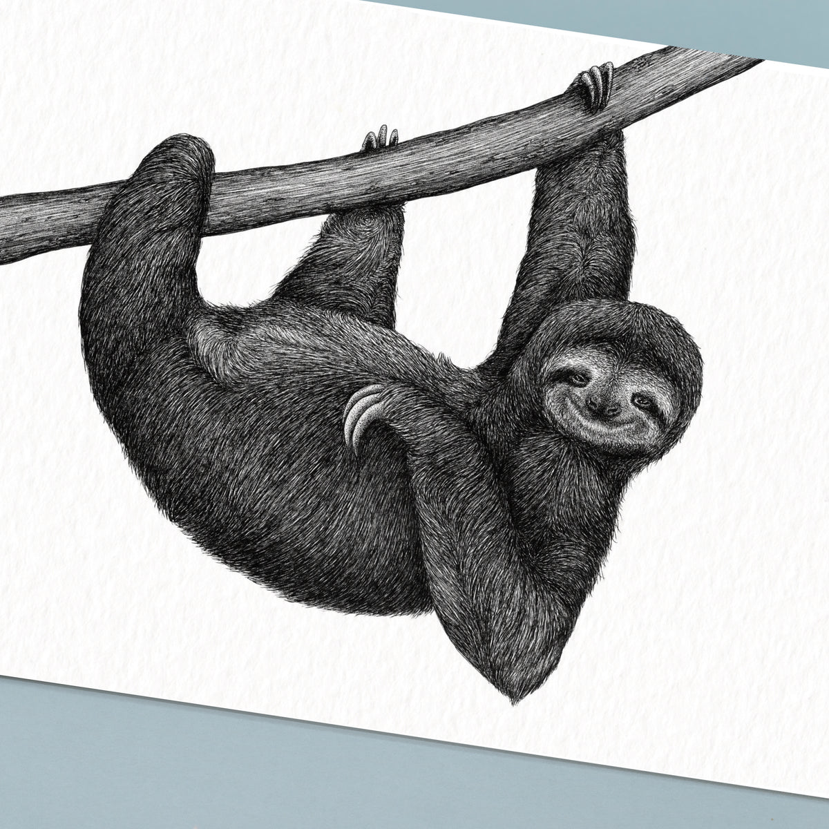 Sloth Art Print - White