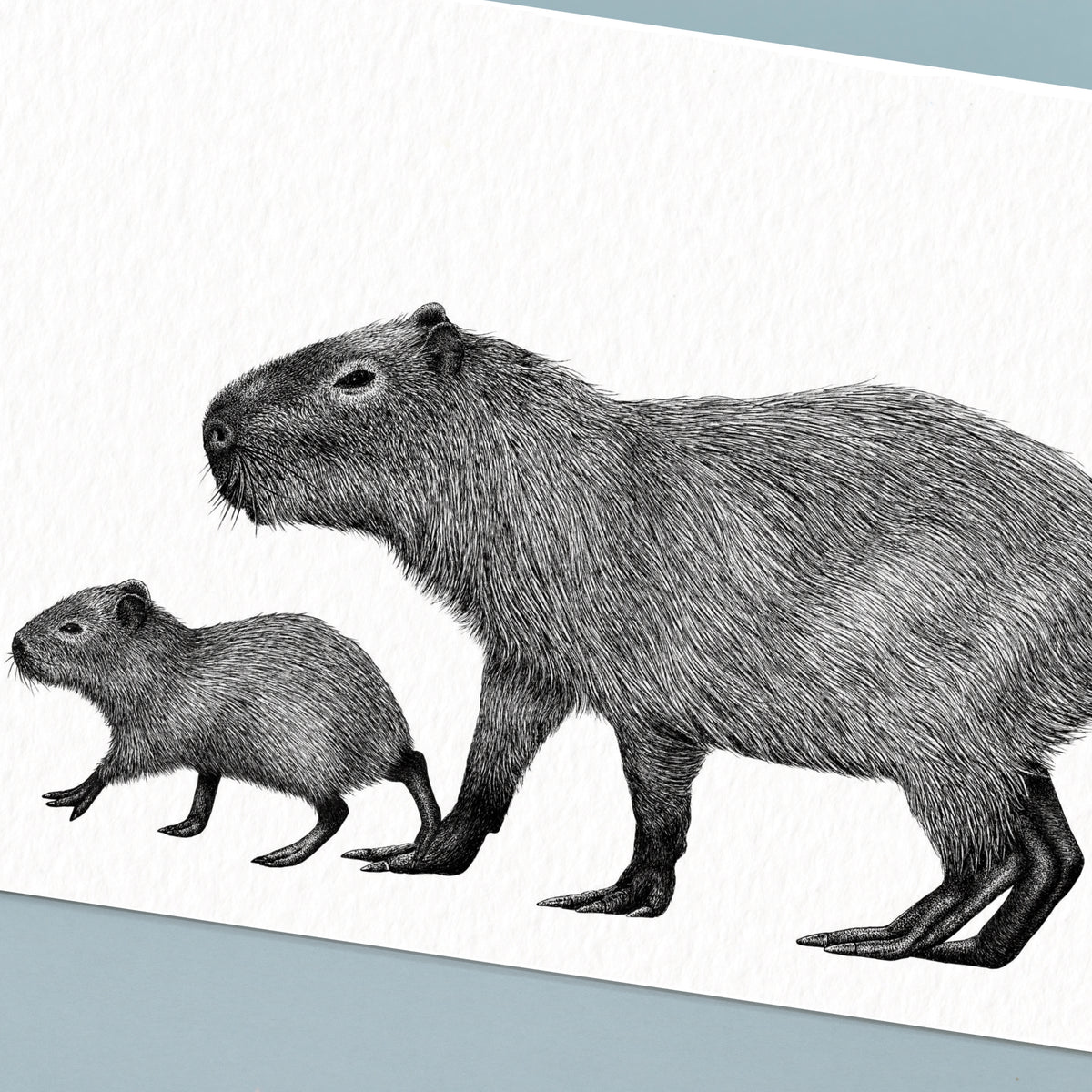 Capybara Art Print - White